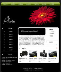 全景呈現(xiàn)精品企業(yè)風采 數(shù)碼攝影器材公司網(wǎng)站建設(shè)全攻略
